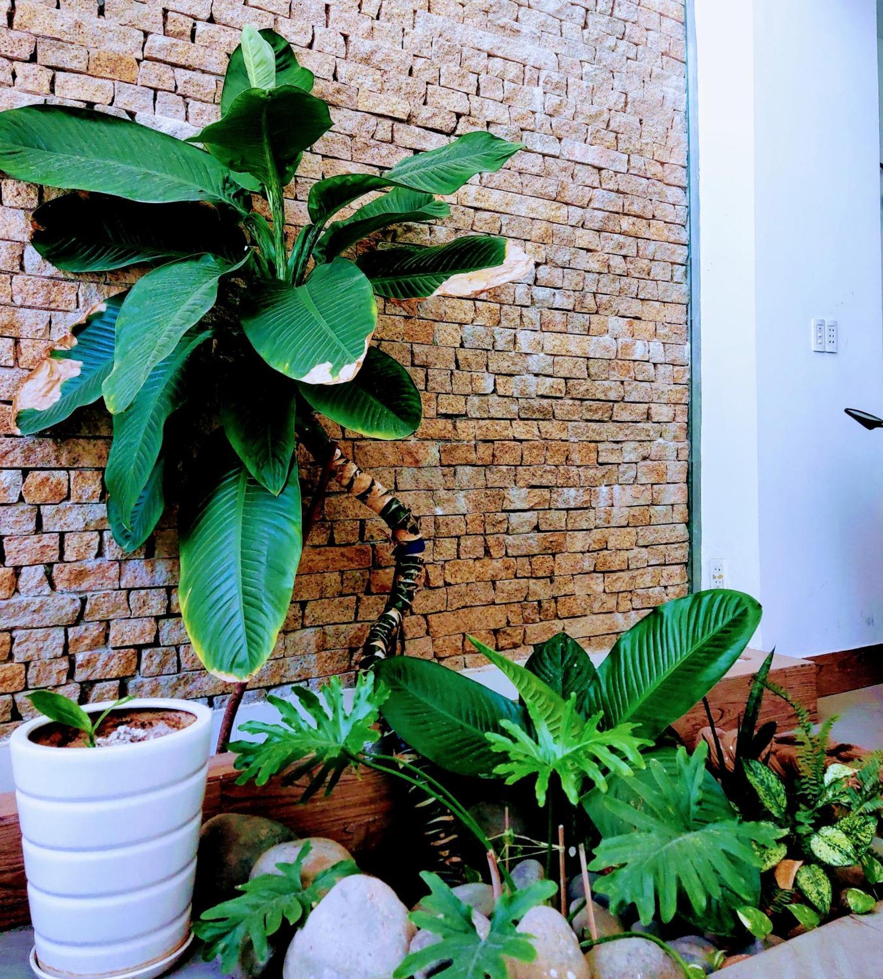 Nap Homestay Kinh Dinh 外观 照片