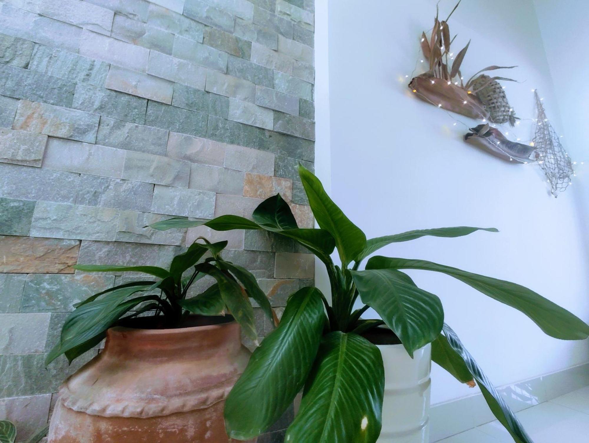 Nap Homestay Kinh Dinh 外观 照片